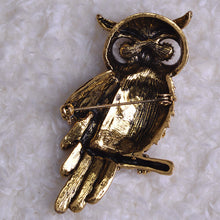 Big Owl Brooches For Wedding Bouquet Hijab Scarf Pin - Smart Pets Nation