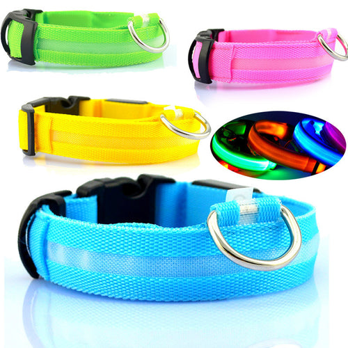 Prevent Dog Accident in Night with Led Dog Collar - Smart Pets Nation