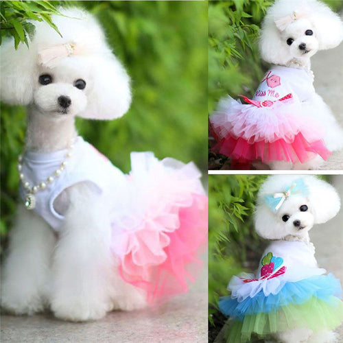 Small Pets Lace Skirt Princess Dress Clothes - Smart Pets Nation