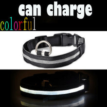 Prevent Dog Accident in Night with Led Dog Collar - Smart Pets Nation