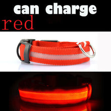 Prevent Dog Accident in Night with Led Dog Collar - Smart Pets Nation