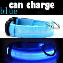 Prevent Dog Accident in Night with Led Dog Collar - Smart Pets Nation