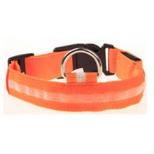 Prevent Dog Accident in Night with Led Dog Collar - Smart Pets Nation