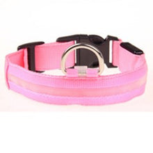 Prevent Dog Accident in Night with Led Dog Collar - Smart Pets Nation