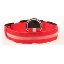 Prevent Dog Accident in Night with Led Dog Collar - Smart Pets Nation