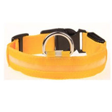 Prevent Dog Accident in Night with Led Dog Collar - Smart Pets Nation