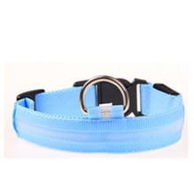 Prevent Dog Accident in Night with Led Dog Collar - Smart Pets Nation