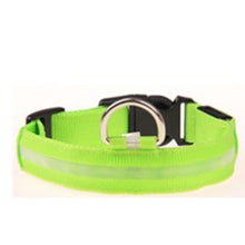 Prevent Dog Accident in Night with Led Dog Collar - Smart Pets Nation