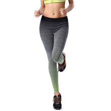 Women's Cotton Fitness Leggings - Smart Pets Nation